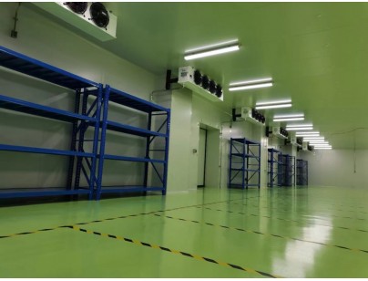 成都康诺亚一桥生物科技公司创新医药冷库建设工程案例