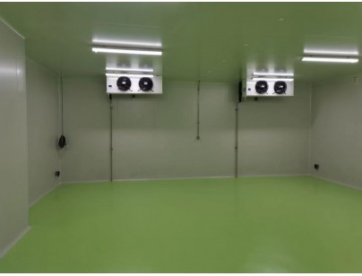 成都康诺亚一桥生物科技公司创新医药冷库建设工程案例