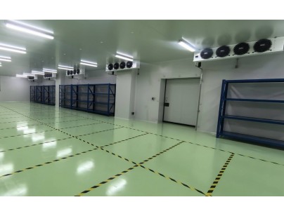 成都康诺亚一桥生物科技公司创新医药冷库建设工程案例