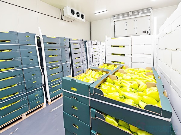 内蒙古葡萄气调保鲜冷库