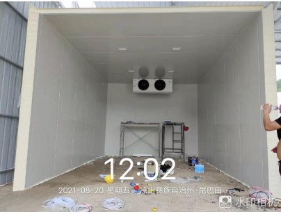 四川桑枝食用菌现代农业园区气调保鲜冷库工程建造案例