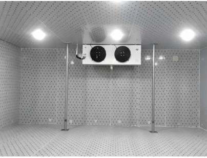 浙江仙居股份经济合作社羊肚菌气调保鲜冷库建造工程案