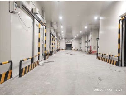 江苏太仓远洋物流二氧化碳复叠系统冷库建造工程案例