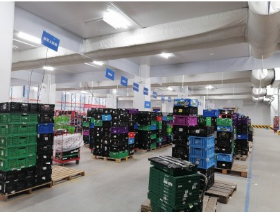 杭州盒马48000m3生鲜配送型冷链物流园冷库建造工程案例