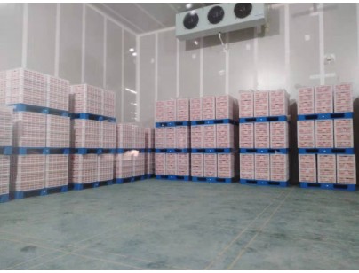 湖州练美农业果蔬产地型气调冷库建造工程案例