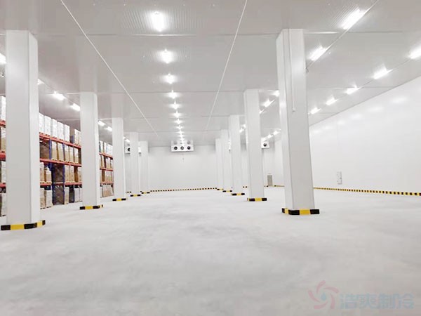 10000吨牛肉冷库建造
