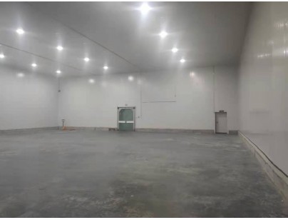 新疆伊宁78525m3保税区冷链物流园大型冷库建造工程