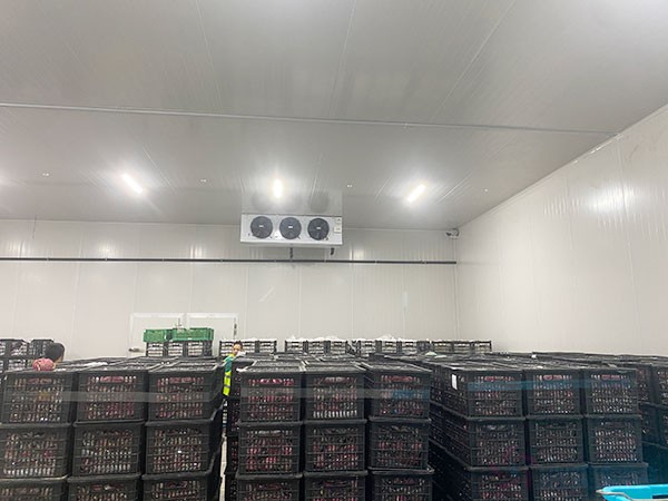 50吨苹果冷库建设