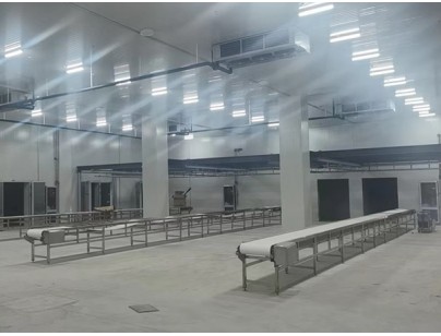 广西大化起点农牧2000m3畜禽肉类屠宰加工冷链中心建造冷库工程案例