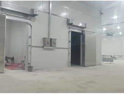 广西大化起点农牧2000m3畜禽肉类屠宰加工冷链中心建造冷库工程案例