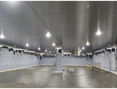 浙江省宁波市余姚创丰毛皮制品1206m3原料储藏冷库工程案例