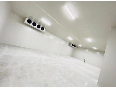 深圳望家欢农产品集团高标准生鲜物流配送冷库建造工程案例