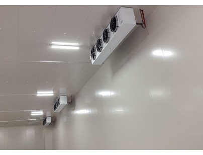 安徽翔威供应链14500m3保税区冷链物流冷库工程建造案例