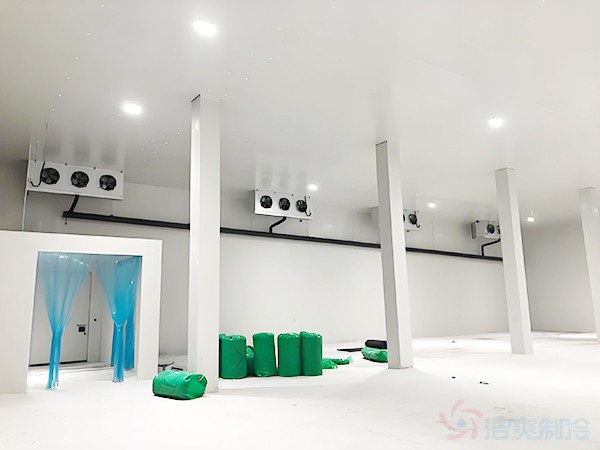 保鲜库建造价格