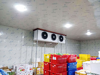 企业食堂冷库建造方案
