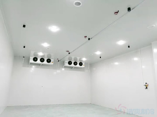 冷藏库建设