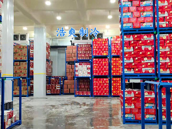 苹果冷库造价
