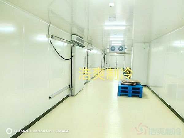 疫苗冷库建造