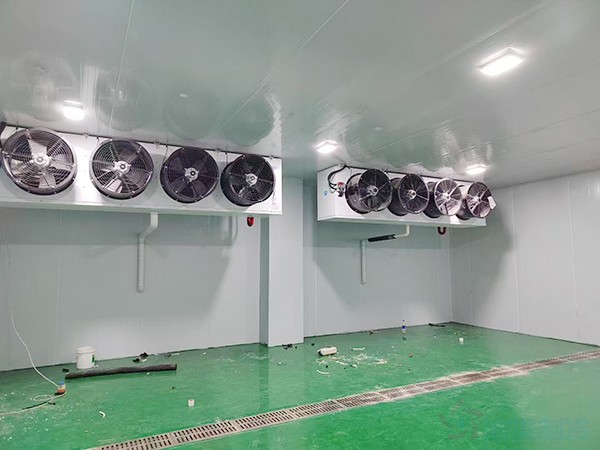 冷藏库建造