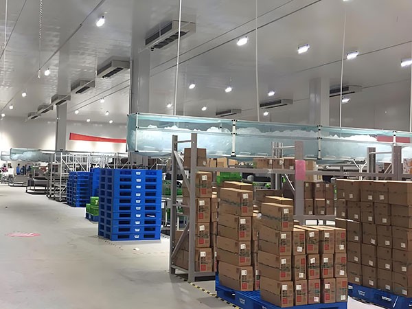 果蔬冷链仓储冷库建造