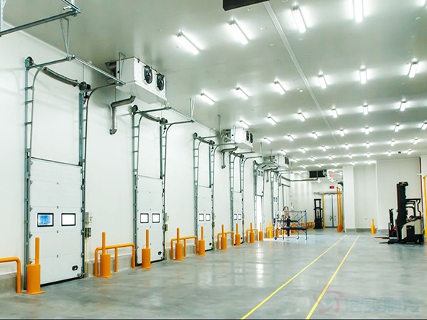 5000吨冷库建造成本