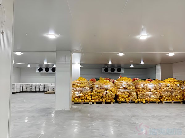 500吨冷库建设