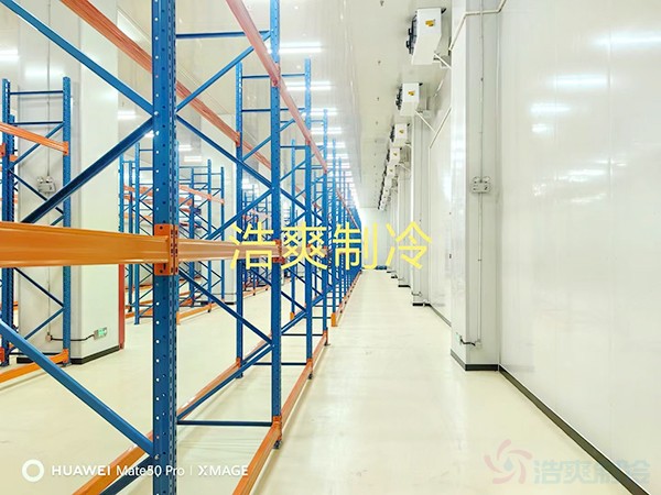 生物医药冷库建设